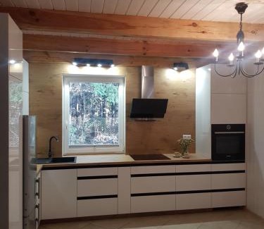 Swietajno House | Pet-Friendly Domek Jerutki Michał with Oceanfront Views