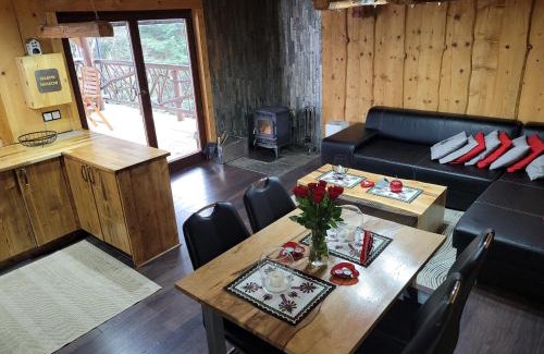 Kamionka Wielka Cabin | Experience DOMEK NA GÓRACH with Hot Tub & Pool Access
