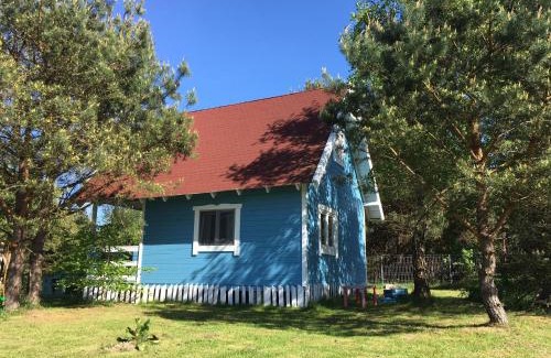 Ostroda Cabin | Pet-Friendly Domek nad jeziorem Kątno with Private Beach