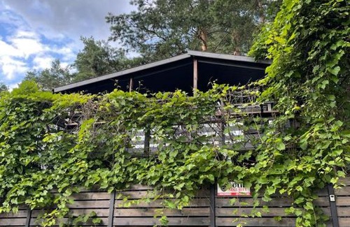 Gietrzwald House | Escape to Domek nad jeziorem: Pet-Friendly Retreat