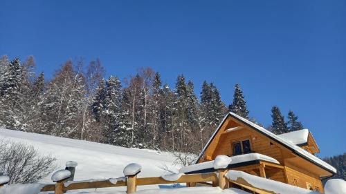 Czorsztyn Ski Chalet | Exceptional Stay at Domek pod Groniem - Pet & Child Friendly