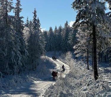 Spalona Ski Chalet | Guest Rated: 9.9 at Domek pod Jagodną with Family Amenities