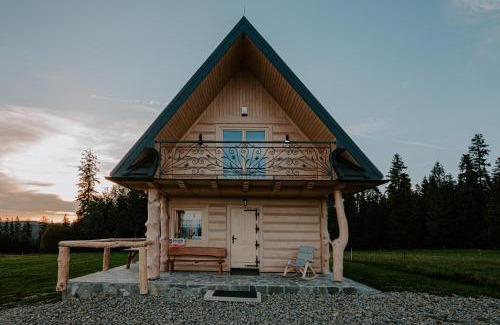 Ludzmierz House | Experience Domek pod lasem: Oceanfront Retreat with Hot Tub
