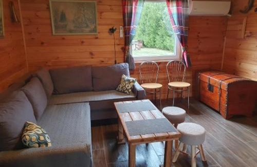 Olsztynek Cabin | Domek Pod Lasem