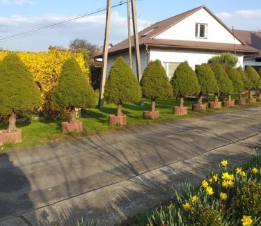 Stary Sacz House | Discover Domek pod Przehybą: Family-Friendly Stays