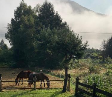 Losie House | Pet-Friendly Retreat: Domek pod smrekami - Rated 9.5/10