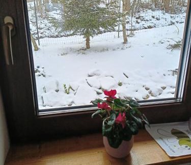 Kamienna Gora House | Pet-Friendly Domek Raszówka with Oceanfront Views