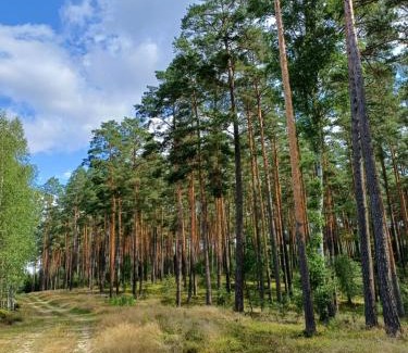 Gietrzwald House | Domek u Bartnika z basenem na Mazurach