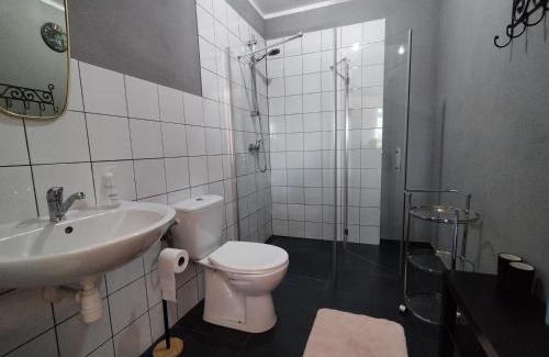 Miedzylesie Apartment | Cozy Domek w górach: Guest Rated 9.7 & Pet Friendly