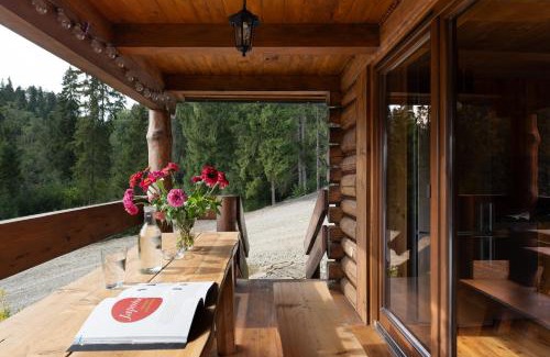Lapsze Nizne House | Relaxing Domek w Halpusie with Oceanfront Views