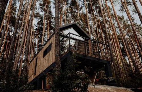 Daleszyce House | Experience Brama Do Lasu - Treehouse Retreat for Families