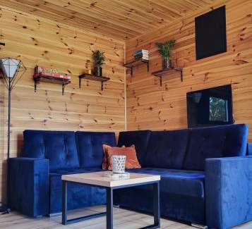 Dziemiany House | Discover Domek w sercu Kaszub: Pet & Child Friendly Stay