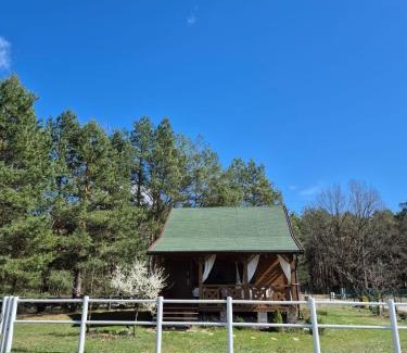 Wyszkow House | Perfect Getaway at Domek w Sosnach - Pet & Child Friendly