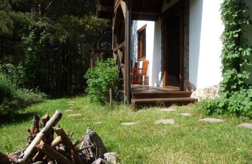 Krokowa House | Discover Domek w Sosnowym Lesie: Oceanfront Retreat