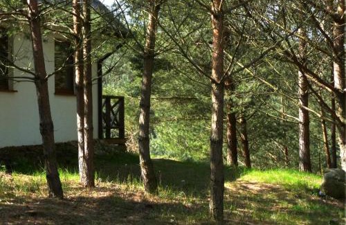 Krokowa House | Discover Domek w Sosnowym Lesie: Oceanfront Retreat