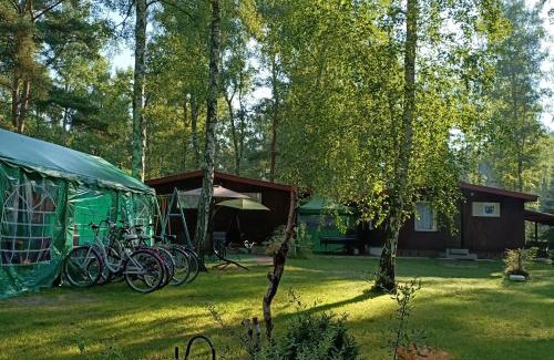 Kargowa House | Top-Rated Ośrodek Wypoczynkowy Joanna with Oceanfront Views