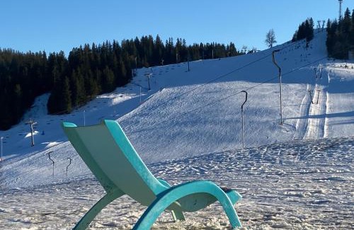 Donovaly Ski Chalet | Pet-Friendly Domicil Donky with Oceanfront Spa & Views