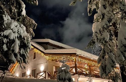 Donovaly Ski Chalet | Pet-Friendly Domicil Donky with Oceanfront Spa & Views