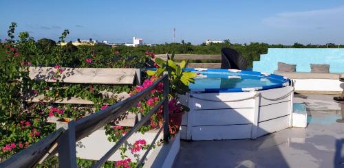 Veron Apartment | Discover Dominican Dream Apartments: Pet-Friendly Oasis
