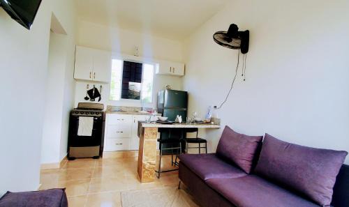 Veron Apartment | Discover Dominican Dream Apartments: Pet-Friendly Oasis