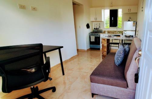Veron Apartment | Discover Dominican Dream Apartments: Pet-Friendly Oasis