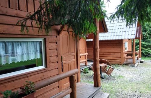 Szlachtowa Cabin | Pet-Friendly Domki Goralskie Near Szlachtowska Tavern