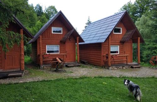 Szlachtowa Cabin | Pet-Friendly Domki Goralskie Near Szlachtowska Tavern