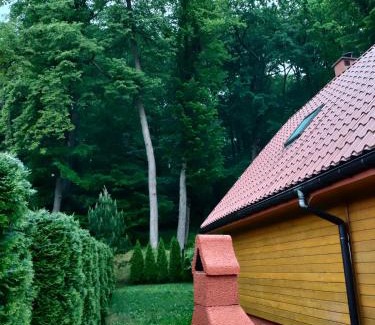 Lesko Cabin | Family-Friendly Getaway at Domki i Pokoje u Borsa
