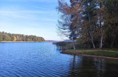 Swietajno Cabin | Serene Getaway at Domki Letniskowe Jerutki - Pet Friendly!