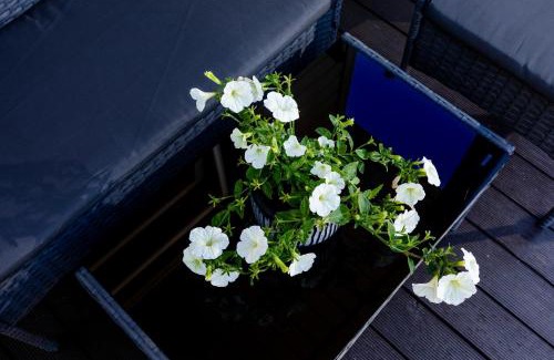 Rewal Cabin | Pet-Friendly Retreat at Domki letniskowe Modrzew