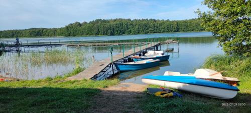 Wałcz Cabin | Domki nad jeziorem i pod lasem
