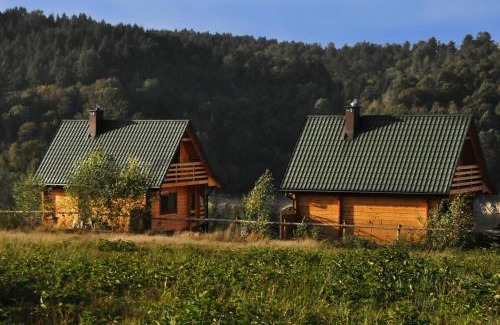 Olchowiec Cabin | Pet-Friendly Retreat at Domki nad Soliną - Rated 10/10!