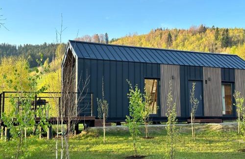 Piwniczna-Zdroj Cabin | Discover Domki Piwniczna: 10/10 Oceanfront Retreat