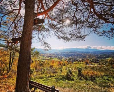 Sosnowka Cabin | Discover Domki Złoty Widok: Family-Friendly Retreat