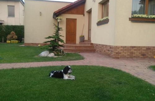 Stredokluky Apartment | Pet-Friendly DoMo Apartment with Pool & 9.6/10 Rating