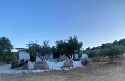 Irgoli Apartment | Domo Galàna: Pet-Friendly Haven with Top Guest Rating