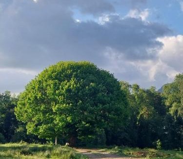 El Carmen Other | Domos Glamping Killahue
