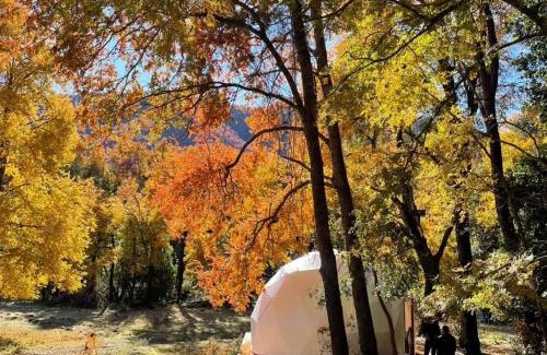 El Carmen Other | Domos Glamping Killahue