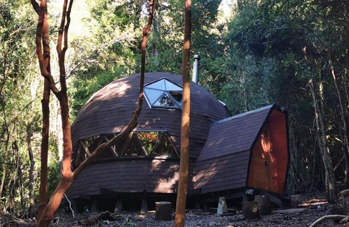 Panguipulli Apartment | Pet-Friendly Escape at Domos Hijos del Bosque - 10/10 Rated