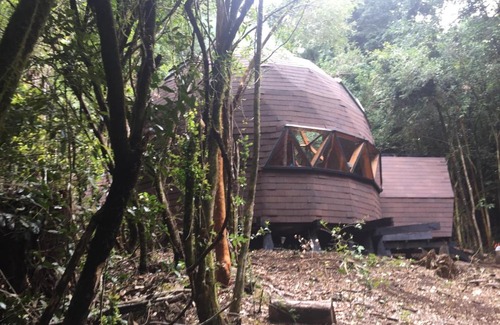 Panguipulli Apartment | Pet-Friendly Escape at Domos Hijos del Bosque - 10/10 Rated