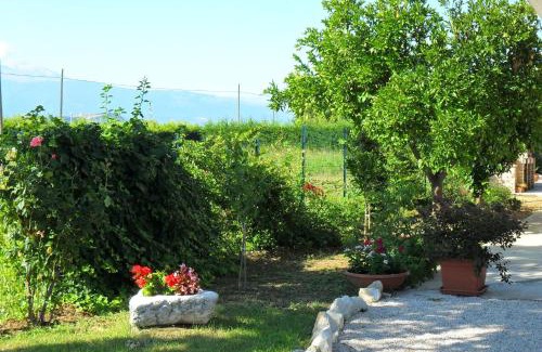 Ripa Teatina House | Domus Aurea: A Guest Rated 10/10 Hotel with Great Amenities