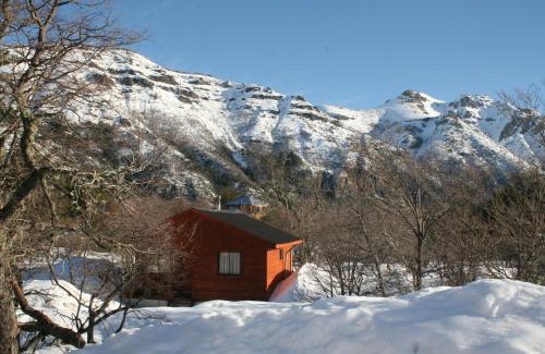 Pinto House | Family-Friendly Getaway at Don Guillermo Cabins