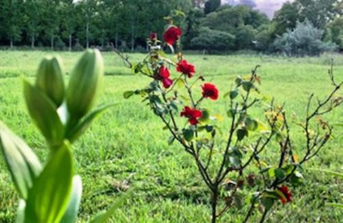 Partido de Carmen de Areco House | Enjoy Oceanfront Relaxation at Don Luis Bueno Hotel