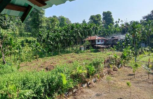 Alipurduar Apartment | Experience DOOARS VALLEY HOME STAY: Eco-Friendly Retreat