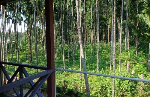 Alipurduar Apartment | Experience DOOARS VALLEY HOME STAY: Eco-Friendly Retreat