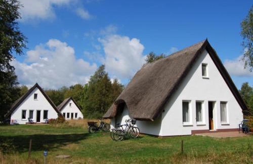 Hiddensee Apartment | Family-Friendly Doppelhaushälfte in Vitte auf Hiddensee