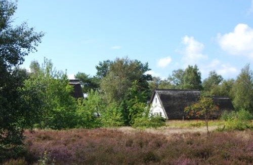 Hiddensee Apartment | Family-Friendly Doppelhaushälfte in Vitte auf Hiddensee