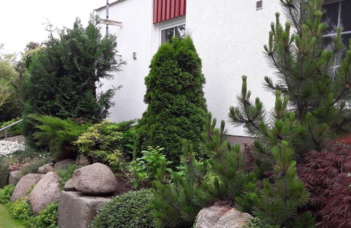 Ostseebad Ahrenshoop Apartment | Cozy Room with Kitchen Steps from Bodden and Sea