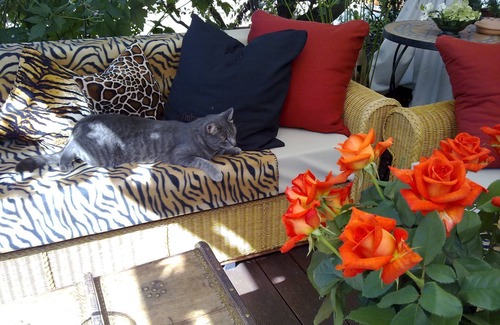 Hagnau Apartment | Comfortable Doppelzimmer Twin: Breakfast & Family-Friendly