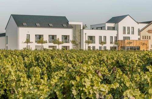 Palzem Apartment | Explore Cultural Heritage at Sauerweins Hotel Rooms